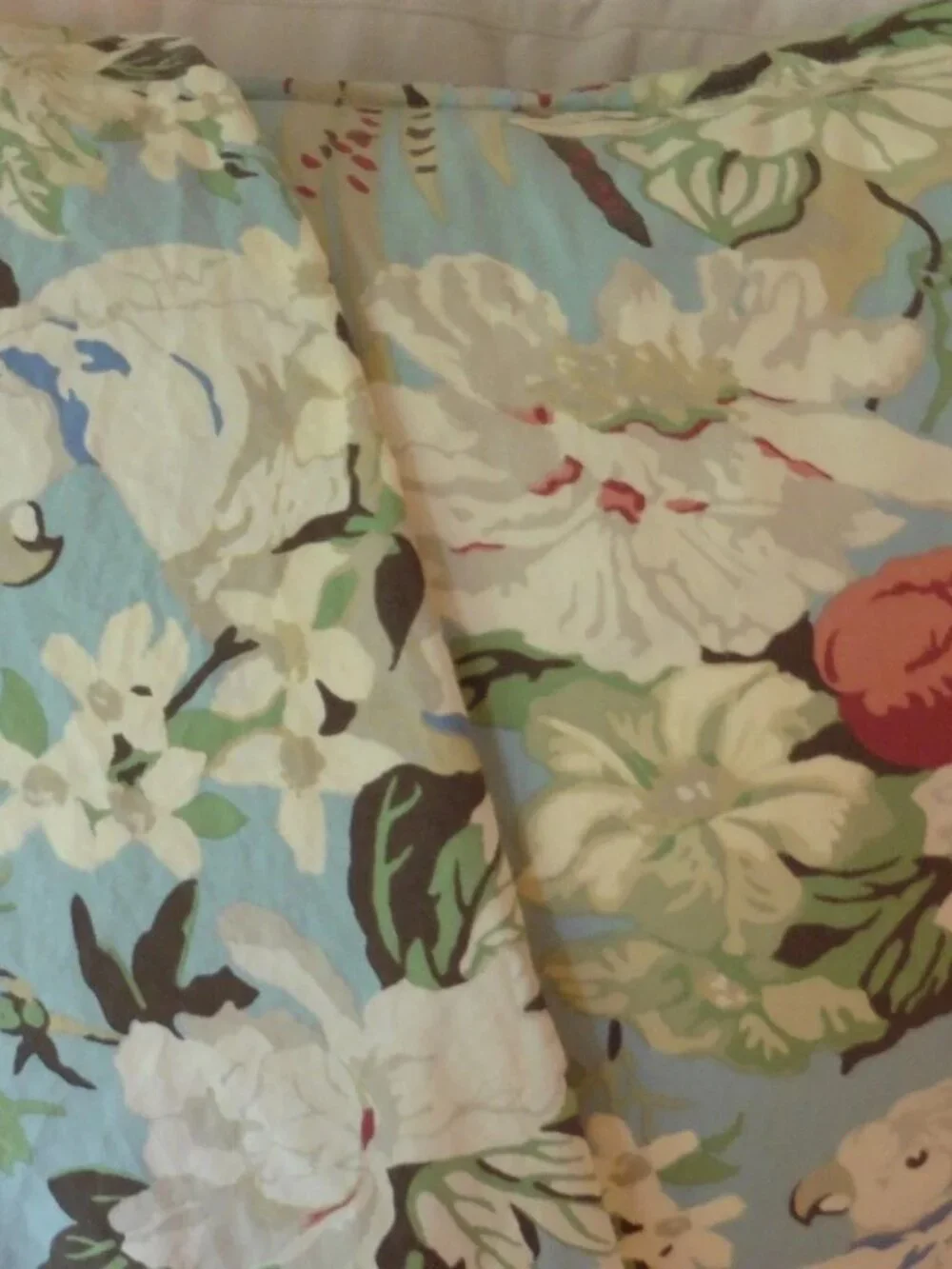 Pottery Barn Euro Shams Set of TWO Blue Eliza Bird Blossoms Florals